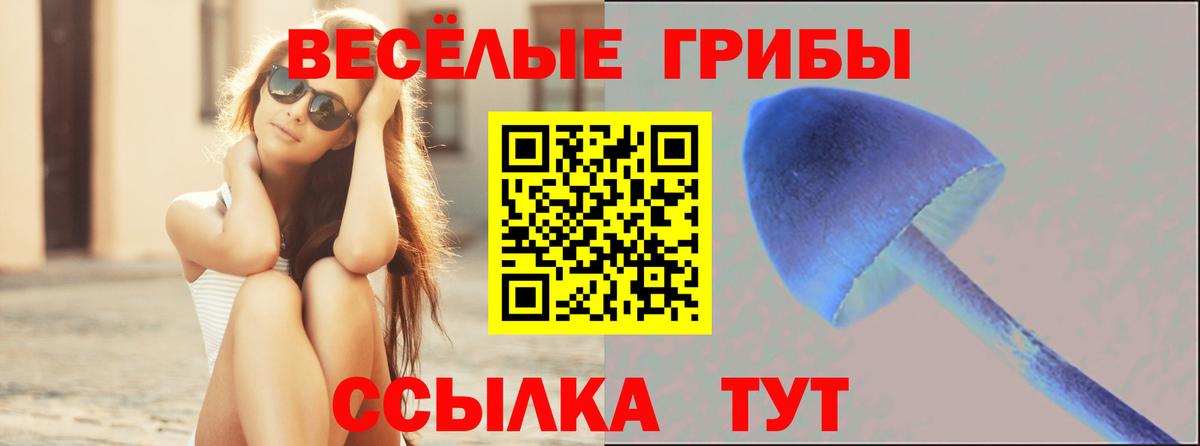 Галлюциногенные грибы Psilocybe  Вход с VPN  Галлюциногенные грибы ЛСД  Копейск 